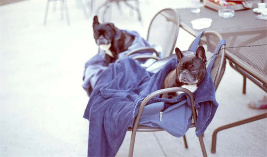 2026 Ram 2500 Sport Trims: Black Express vs Warlock Compared